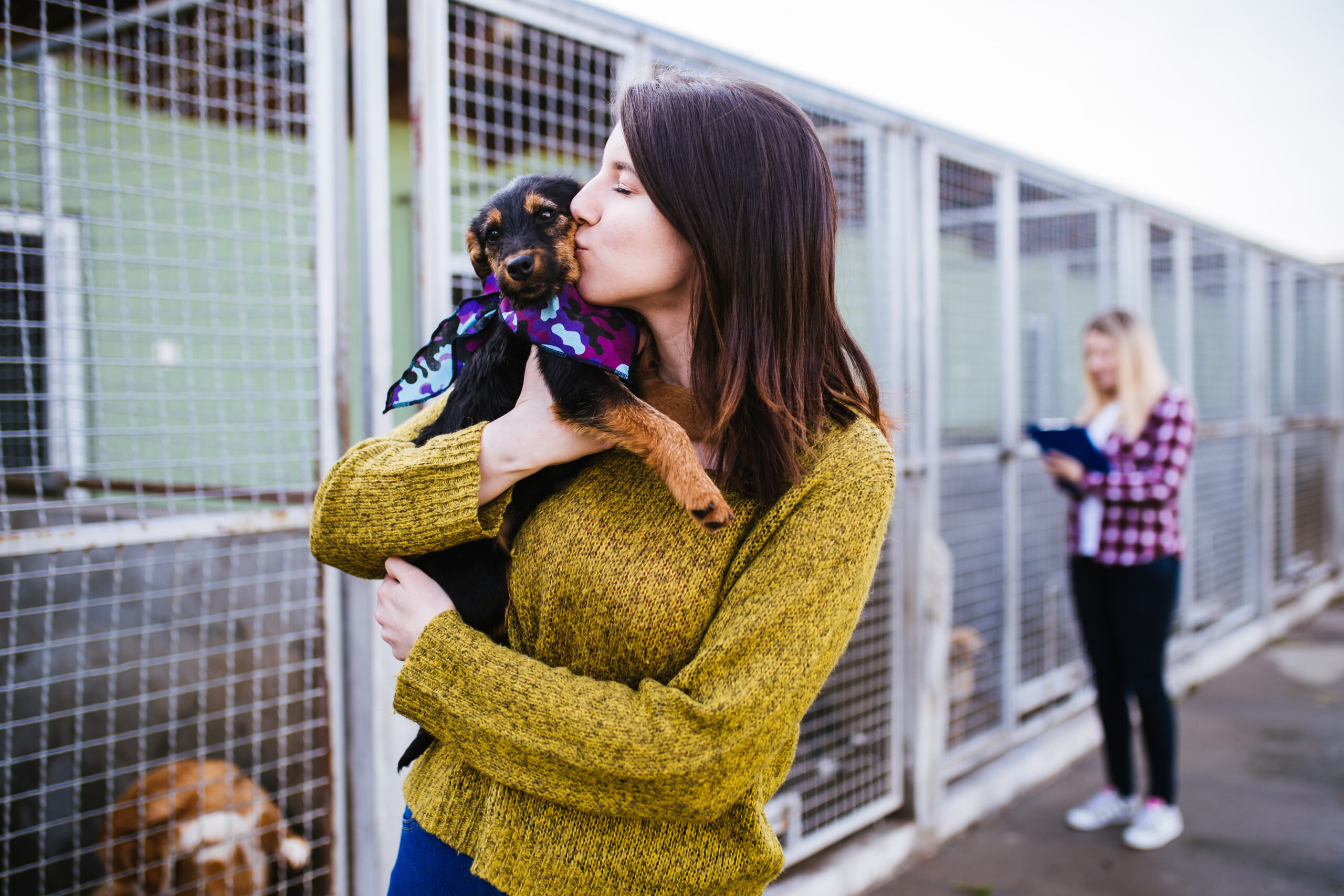 Fotografie einer Person, die einen kleinen Hund vor Tiergehegen im Arm hält